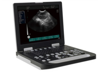 Обзор ультразвукового сканера для ветеринарных целей BN100 Laptop B 00