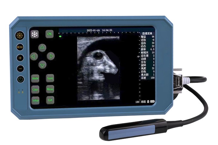 BU403T Ручной ультразвуковой сканер типа B с сенсорным экраном и ректальным линейным датчиком 6,5 МГц для ветеринарного использования